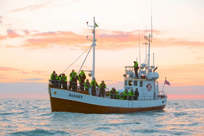 Whale Watching in Husavik - Warm suits, hot cocoa, and what to wear