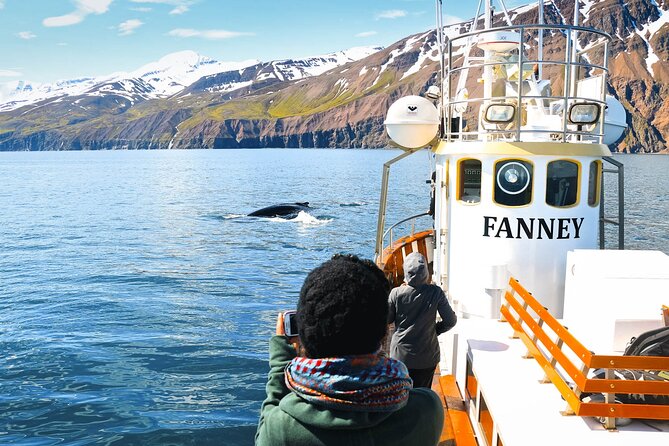 Whale Watching in Husavik - The first stretch of water: waiting for the bay to reveal itself