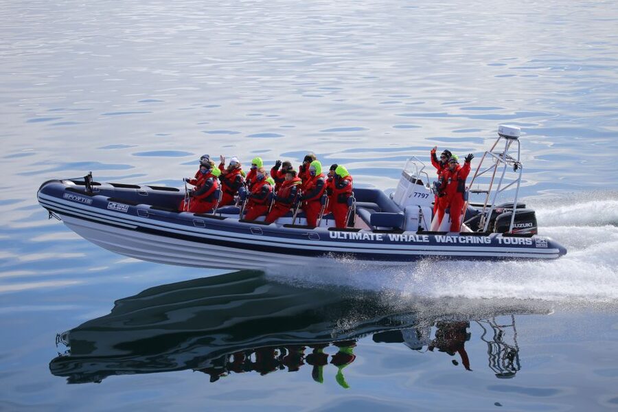 Whale Watching in Reykjavik by Speedboat - The first rush out from the harbor