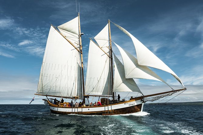 Whale Watching on a Traditional Oak Sailing Ship from Husavik - Guides add science to the waiting