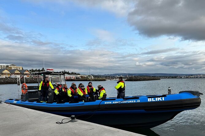 Whale Watching - RIB Boat Adventure in Kopavogur, Iceland - Why this RIB trip feels different from a standard cruise