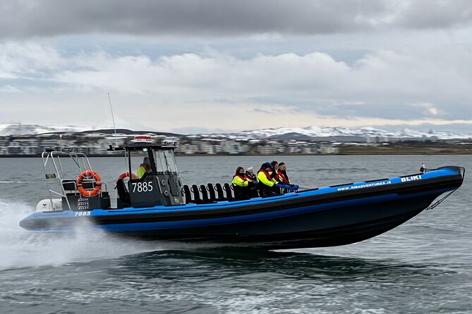 Whale Watching - RIB Boat Adventure in Kopavogur, Iceland - One hour focused on whales, dolphins, and puffins