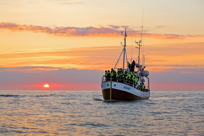 Whales and Puffins Tour from Husavik - Leaving Húsavík harbor for Puffin Island