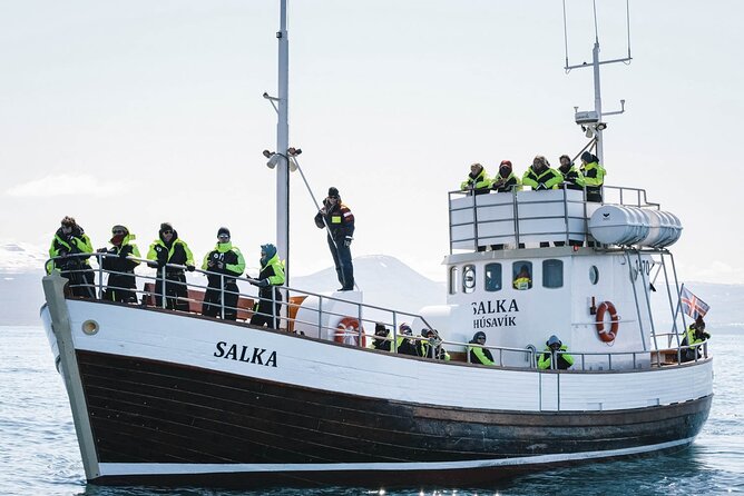 Whales and Puffins Tour from Husavik - Who will enjoy this Húsavík tour most?