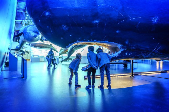 Whales Of Iceland Admission Ticket - Life-size whales at Fiskislóð 23