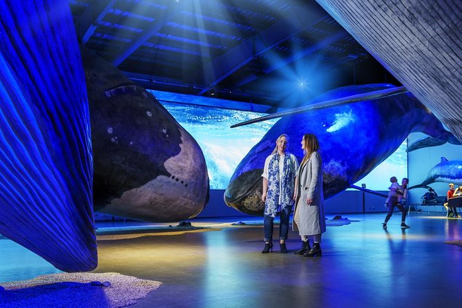 Whales of Iceland from Land and Sea - Timing the museum and boat together