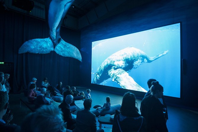 Whales of Iceland from Land and Sea - Who will enjoy this outing most?