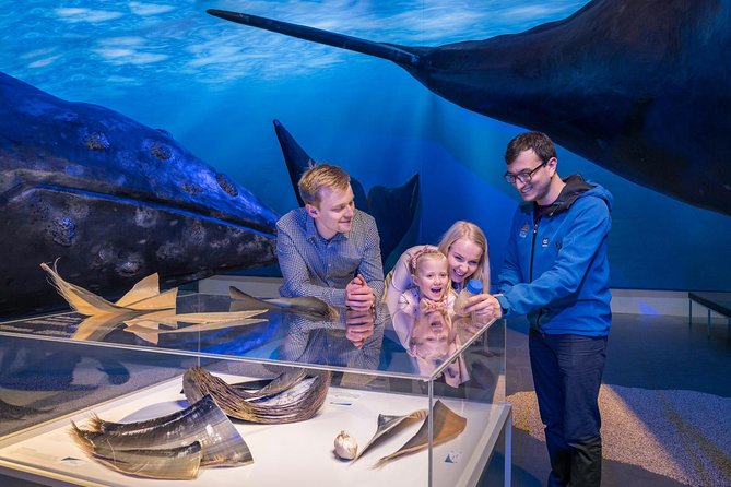 Whales of Iceland from Land and Sea - Faxaflói Bay and the search for whales