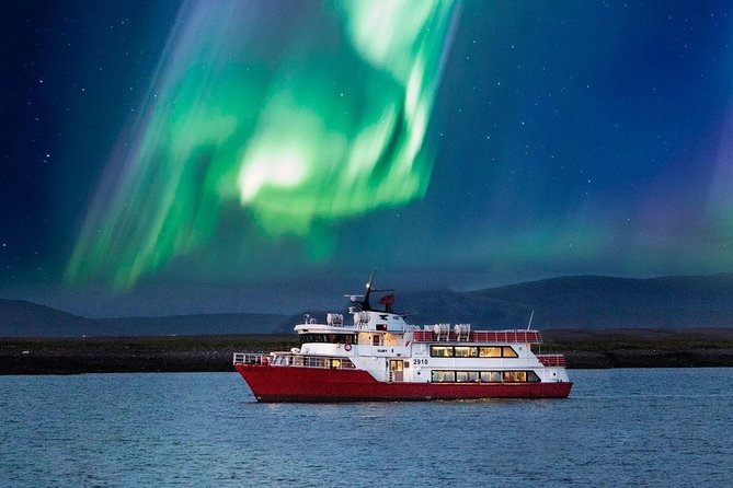 Winter Whale Watching and Northern Lights Cruise from Reykjavik - Two Reykjavik cruises for $198