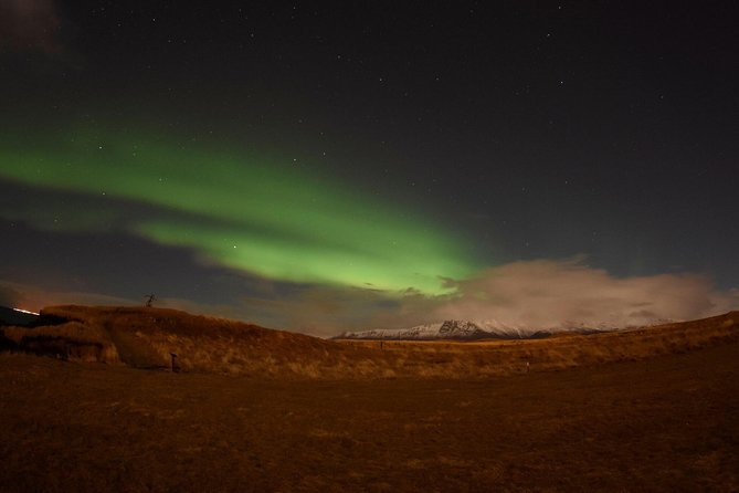 Winter Whale Watching and Northern Lights Cruise from Reykjavik - What the whale guarantee really means